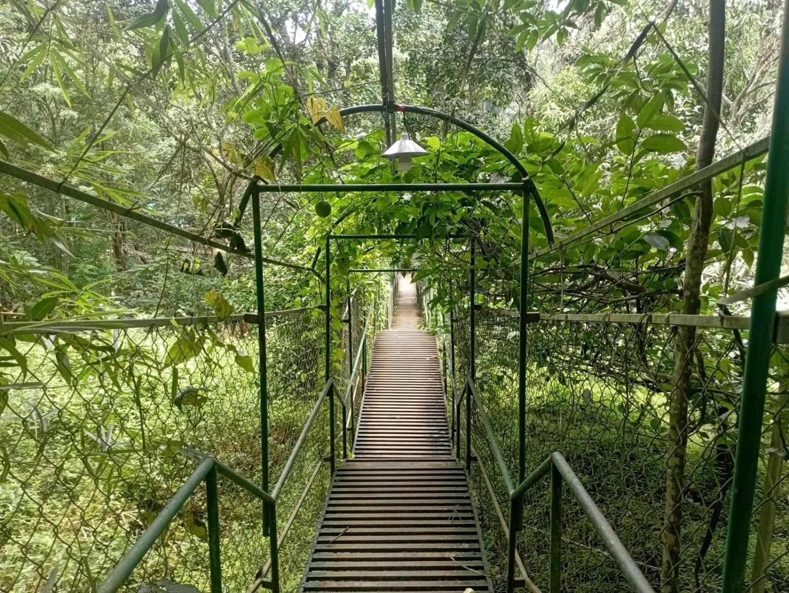 Tree House Wayanad Hotel Muthanga Exterior photo